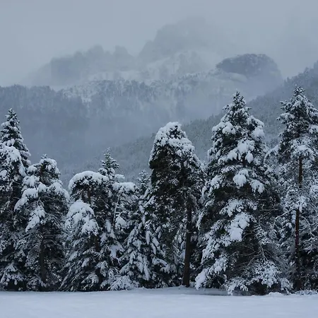 Casa Abedul By Bevalle Panticosa