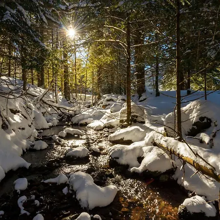 Appartement Casa Abedul By Bevalle