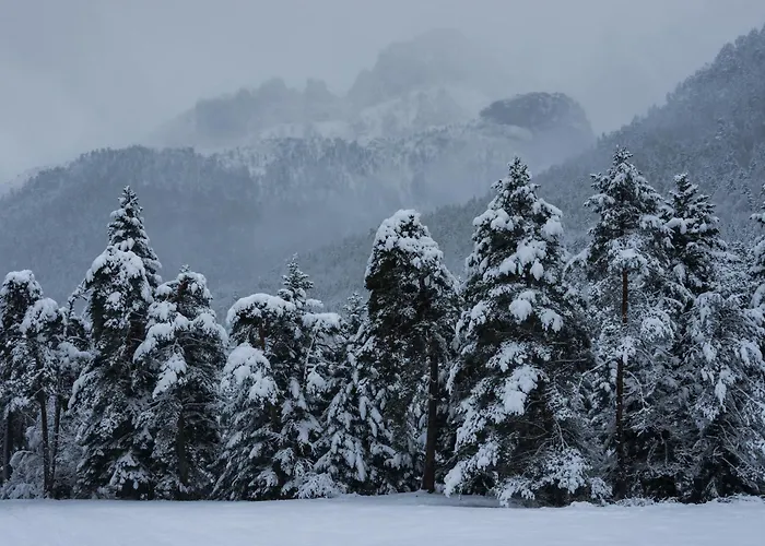 Casa Abedul By Bevalle Panticosa