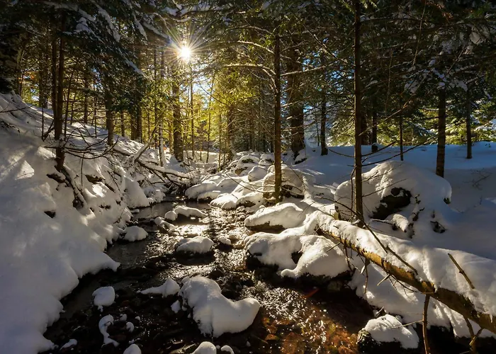 Apartamento Casa Abedul By Bevalle