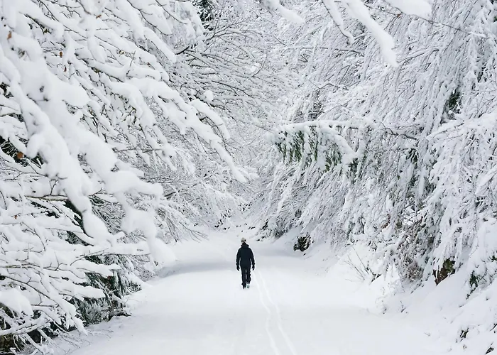 Casa Abedul By Bevalle